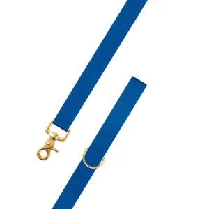 Blue Grosgrain Ribbon Dog Leash