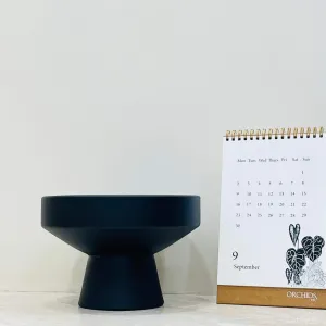 Contemporary Black Bowl-Shaped Planter